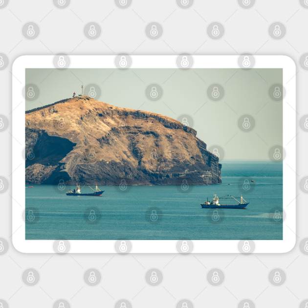 Jeju Island Sticker by Merchmatics